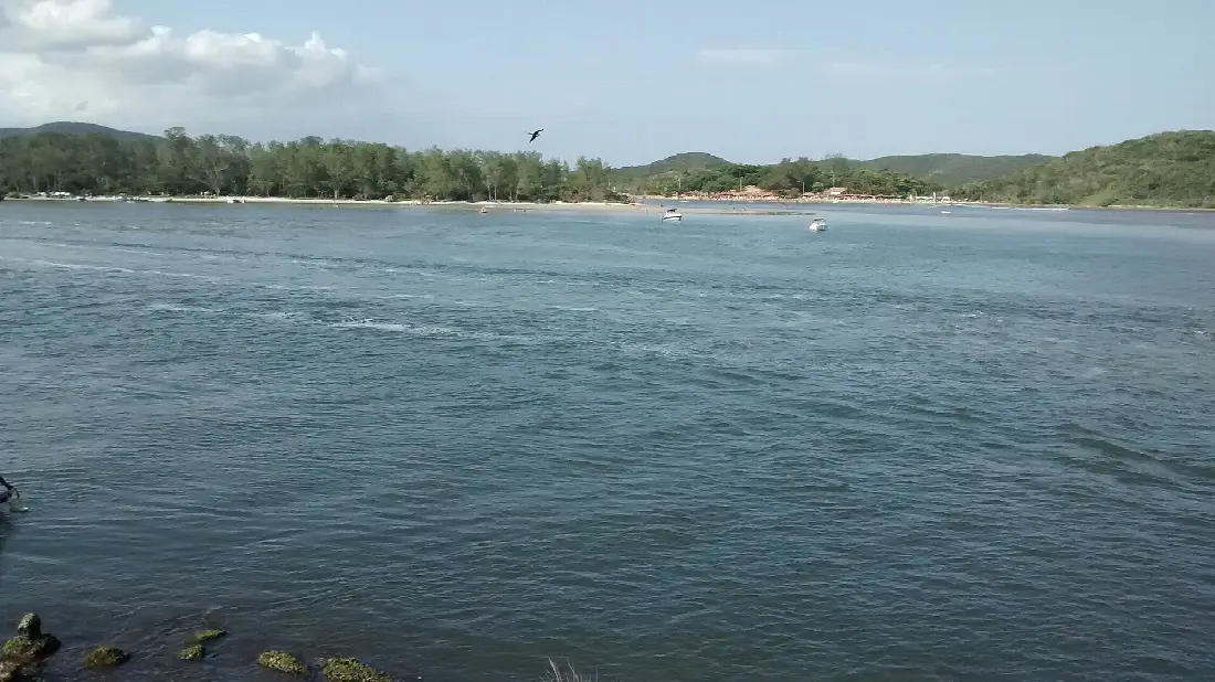 Ilha do Japonês